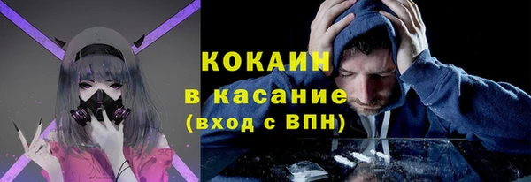 гашик Алзамай