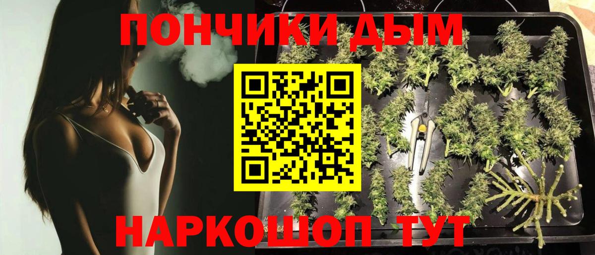 Бошки Шишки гибрид  Вход с VPN  Муравленко  Бошки Шишки MAZAR 